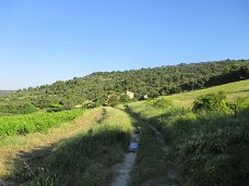 2018 Domaine Pierravon (8)